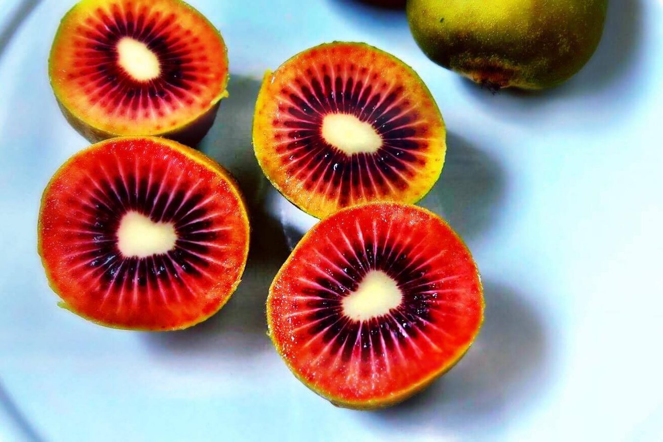 kiwi-rosso-1300x867