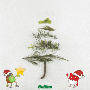 IN-ATTESA-NATALE-GULLINO