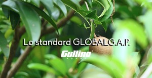 Un’agricoltura sicura e sostenibile. La nostra scelta per lo STANDARD GLOBALG.A.P..